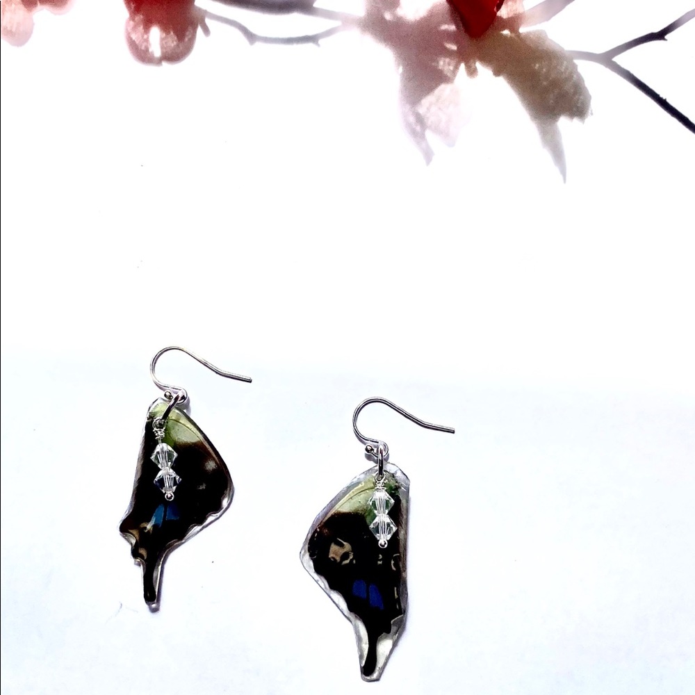 Real Butterly Wing drop Earrings.